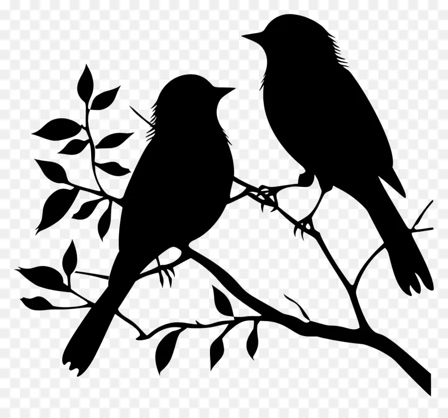 Pássaros Sentados Em Um Galho，Aves PNG