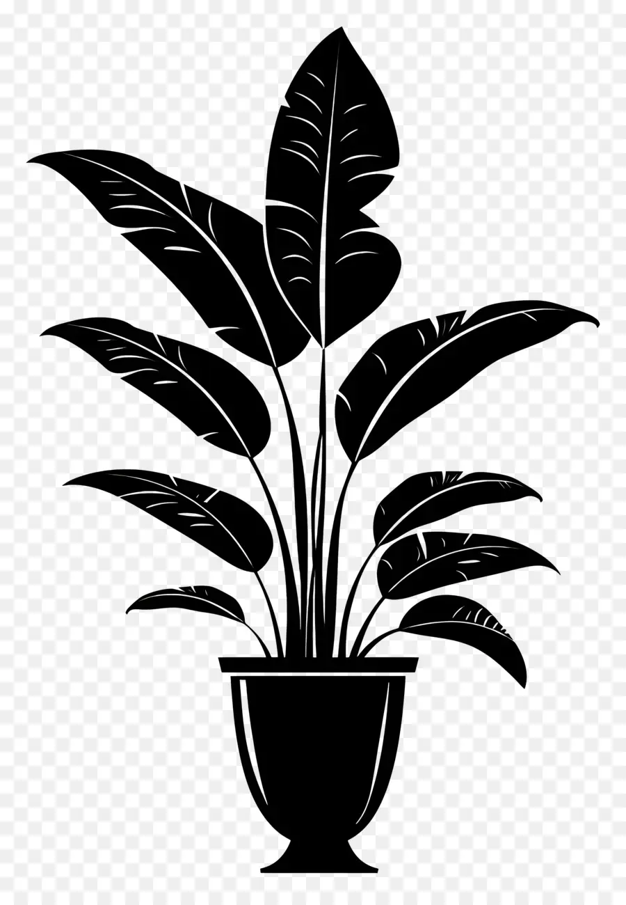 Planta Silhueta，Planta Interna PNG