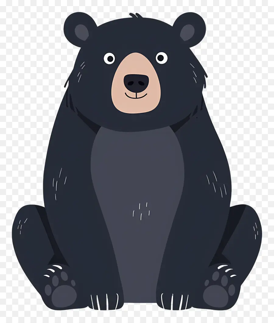 Urso，Bonitinho PNG