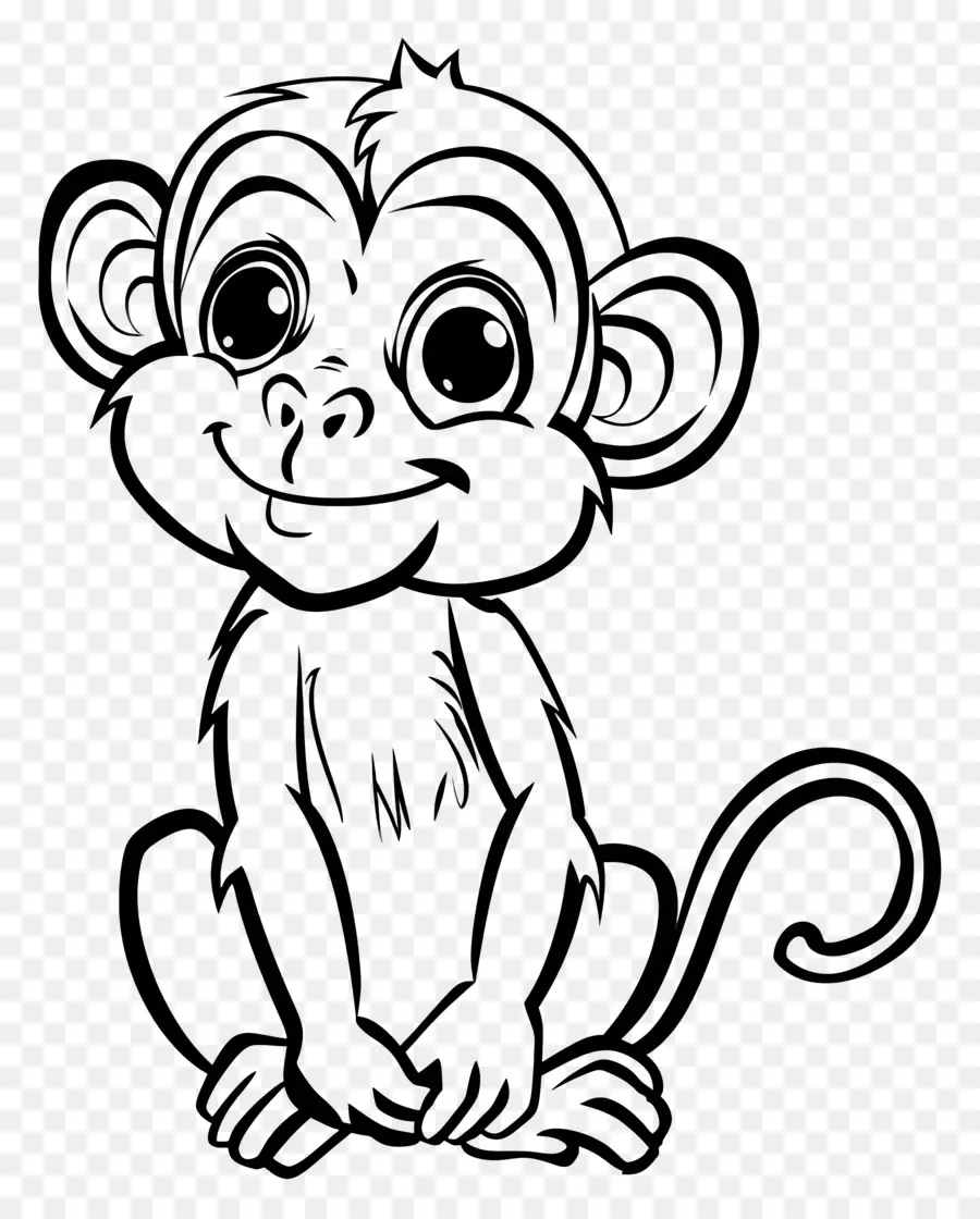Macaco，Sorrindo PNG