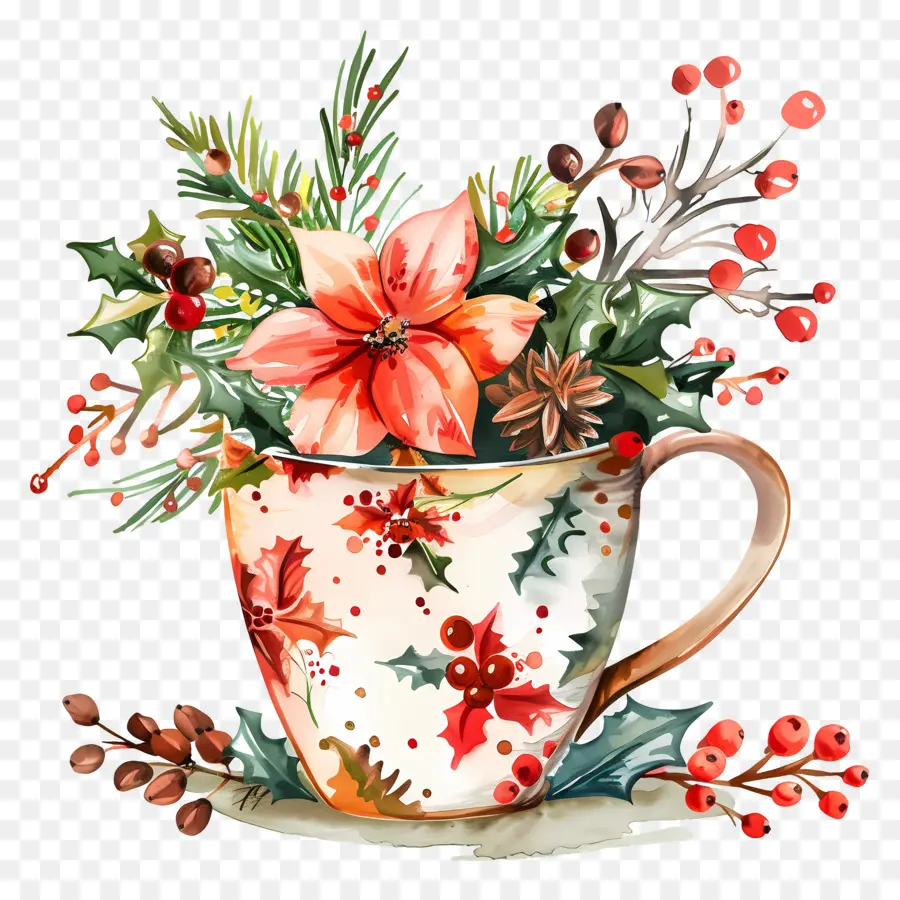 Taça Do Natal，Poinsettias PNG