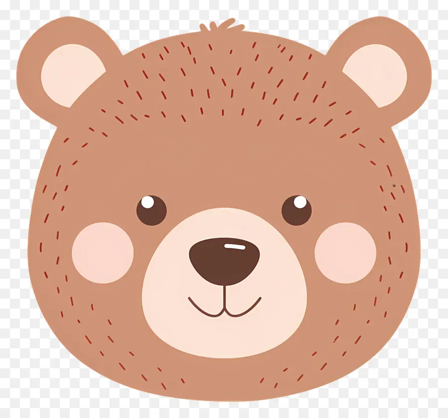 Cara De Urso Fofo，Cara De Urso PNG