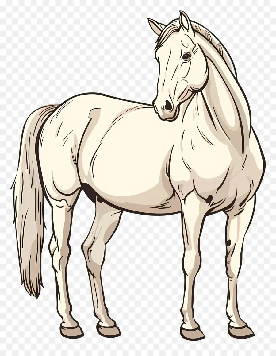 Cavalo，Equino PNG