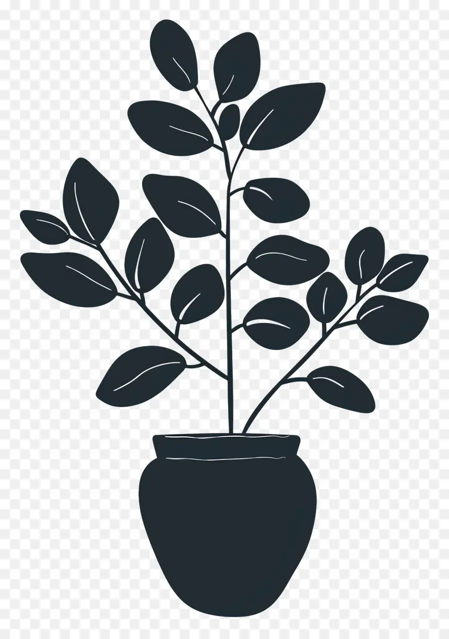 Planta Silhueta，Plantas PNG