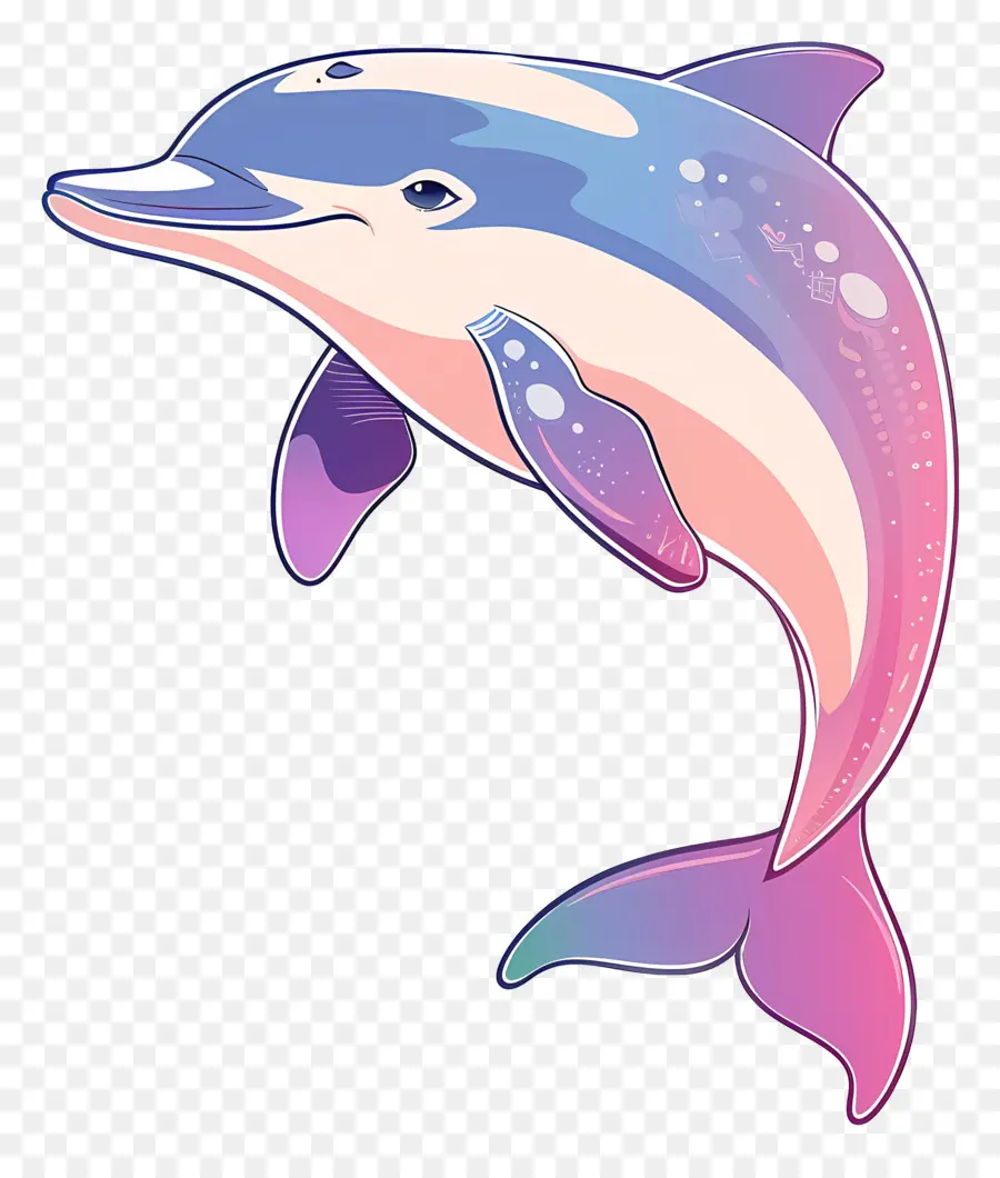 Bonito Dolphin，Dolphin PNG