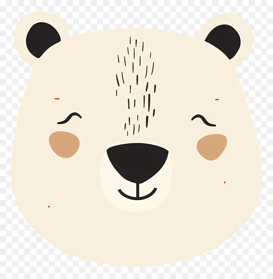 Rosto De Urso Fofo，Urso PNG