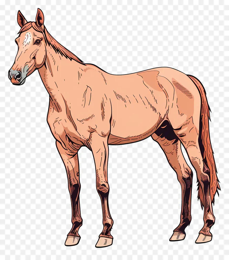 Cavalo，Equino PNG