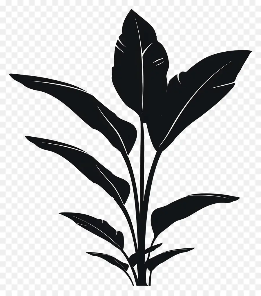 Planta Silhueta，Planta Monocromática PNG