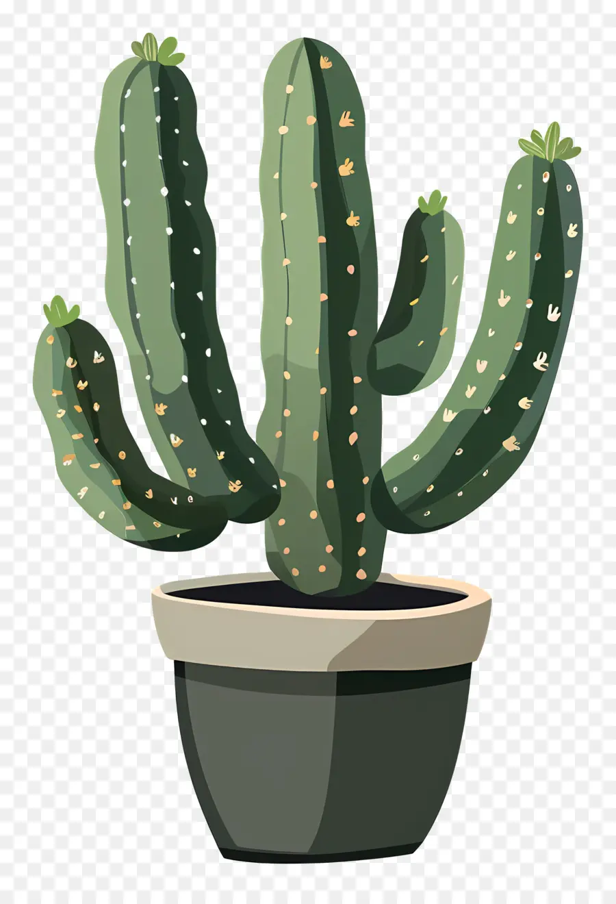 Verde Cacto，Cactus PNG