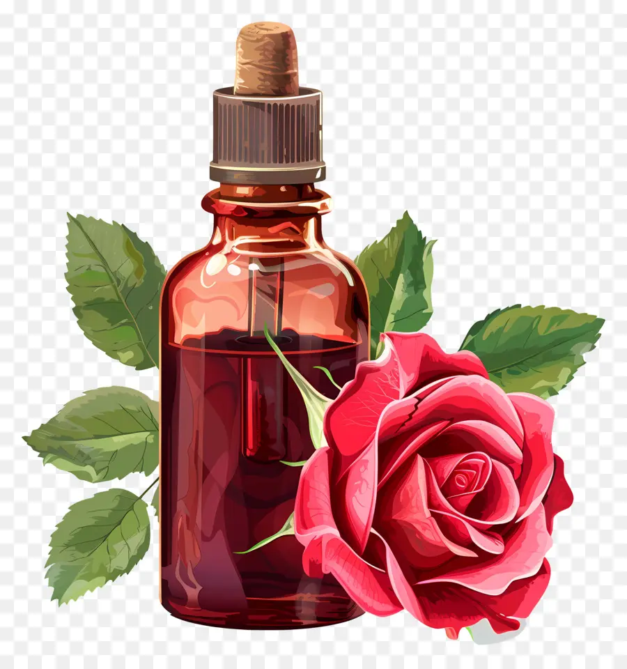 óleo De Rosa，Rosa Cor De Rosa PNG
