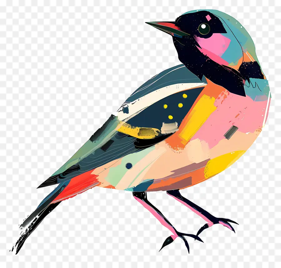 Aves，Pássaro Ilustração PNG