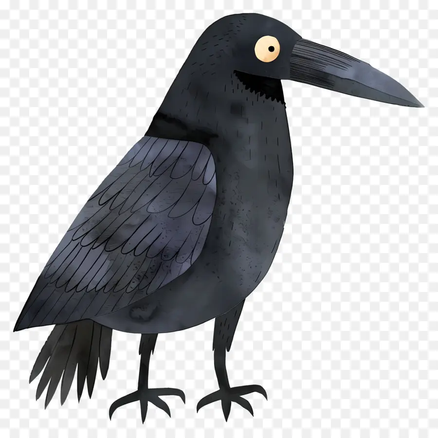 Cartoon Raven，Crow PNG