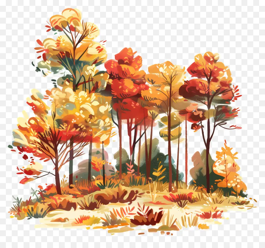 Outono Floresta，árvores PNG