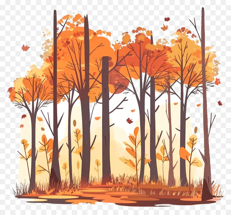 Outono Floresta，árvores PNG