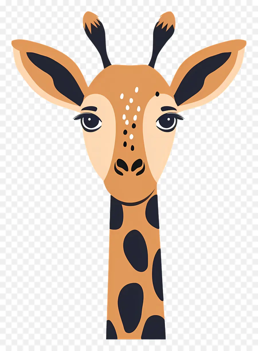 Cara Fofa De Girafa，Girafa Estilizada PNG