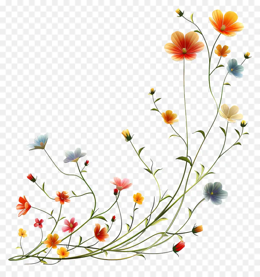 Correntes De Flores，Flores Coloridas PNG