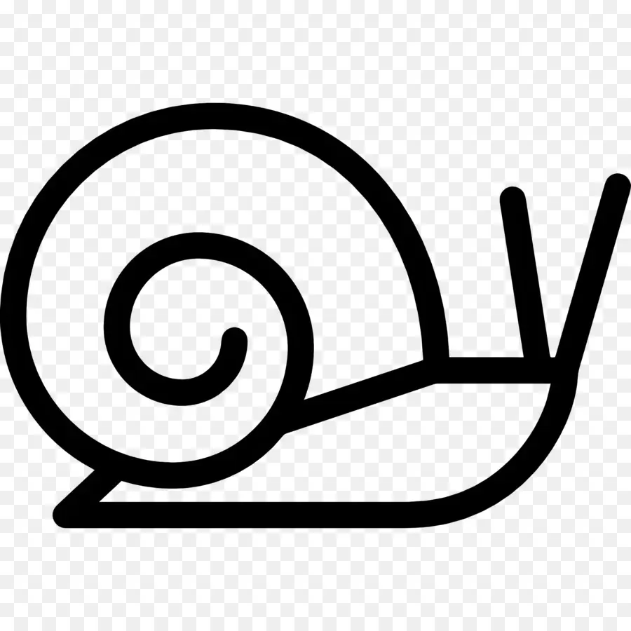 Caracol，Shell PNG