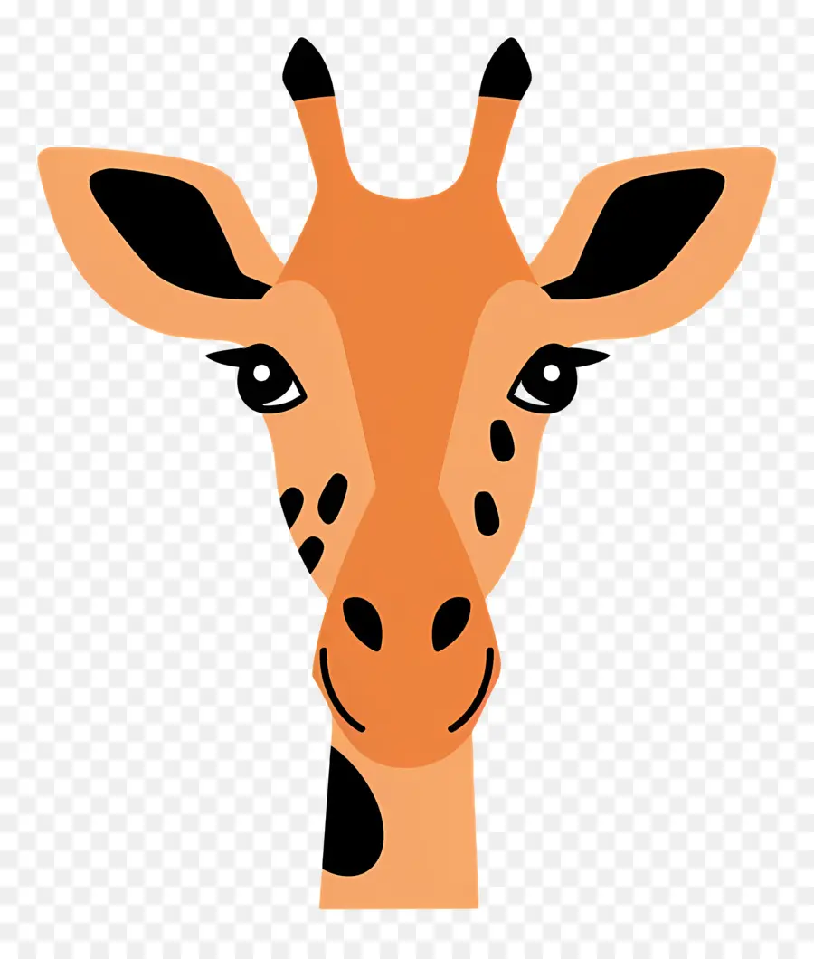 Cara Fofa De Girafa，Cara De Girafa PNG