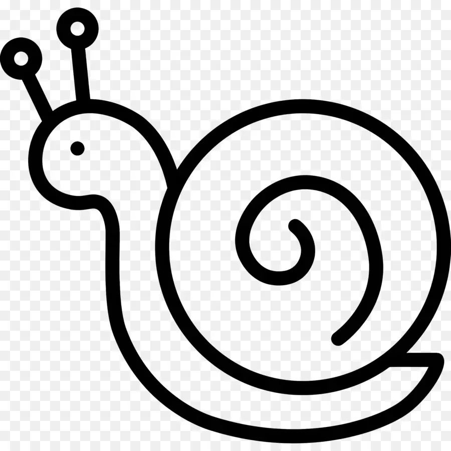 Caracol，Black Background PNG