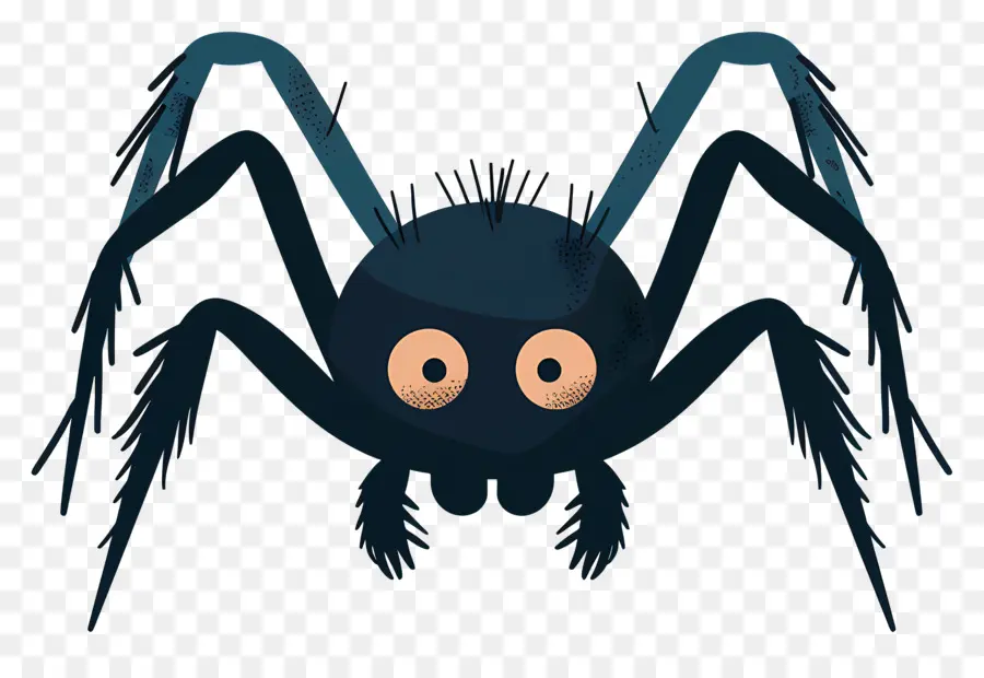 Aranha De Halloween，Aranha PNG