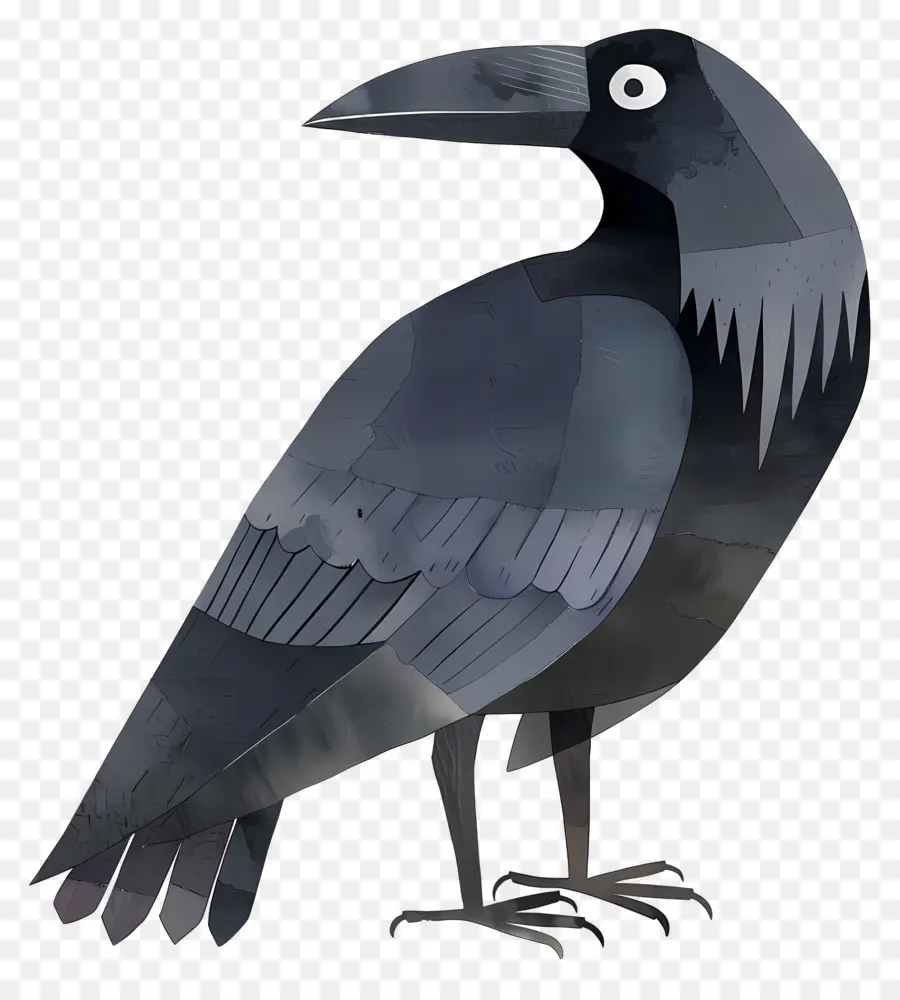 Cartoon Raven，Pássaro Preto PNG