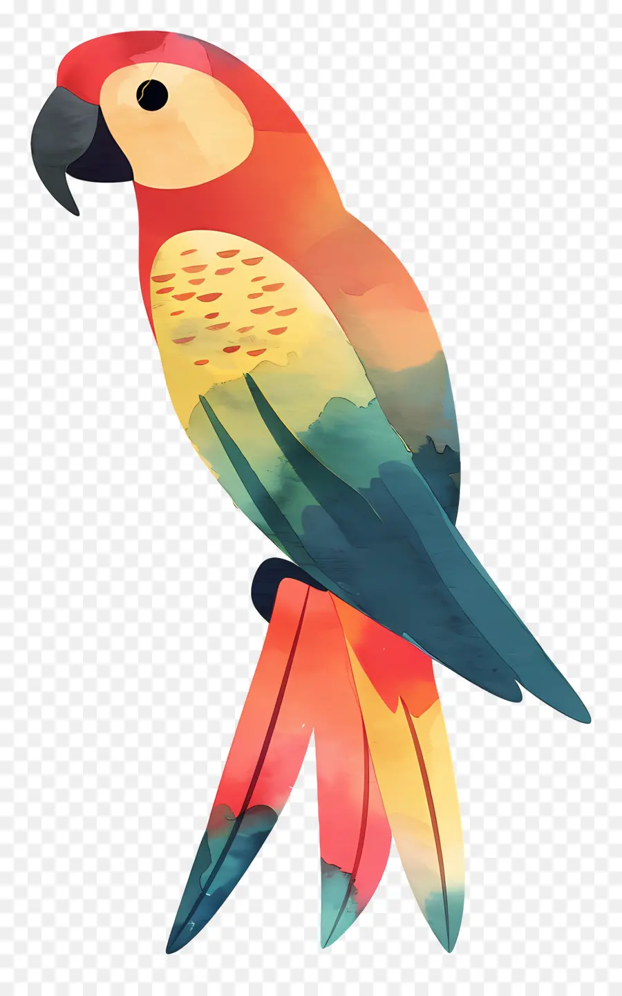 Papagaio，Pássaro Tropical PNG