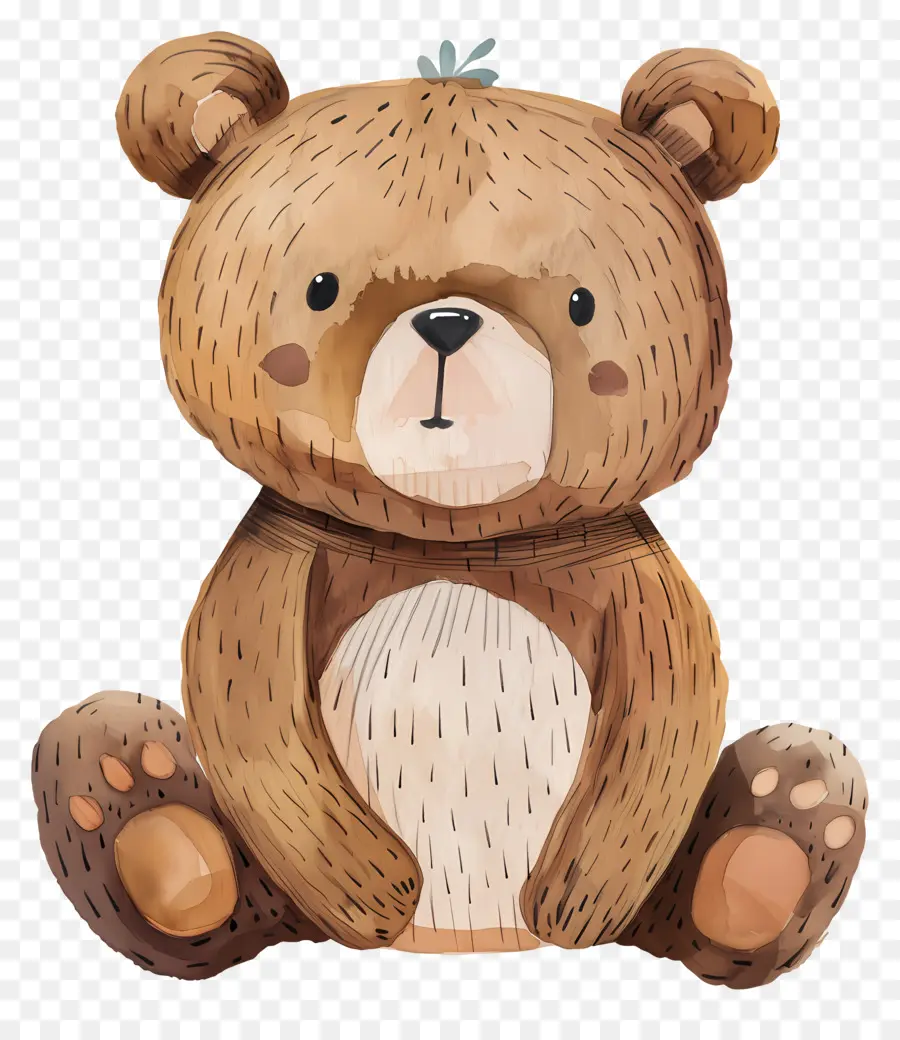 Ursinho De Pelúcia，Urso PNG