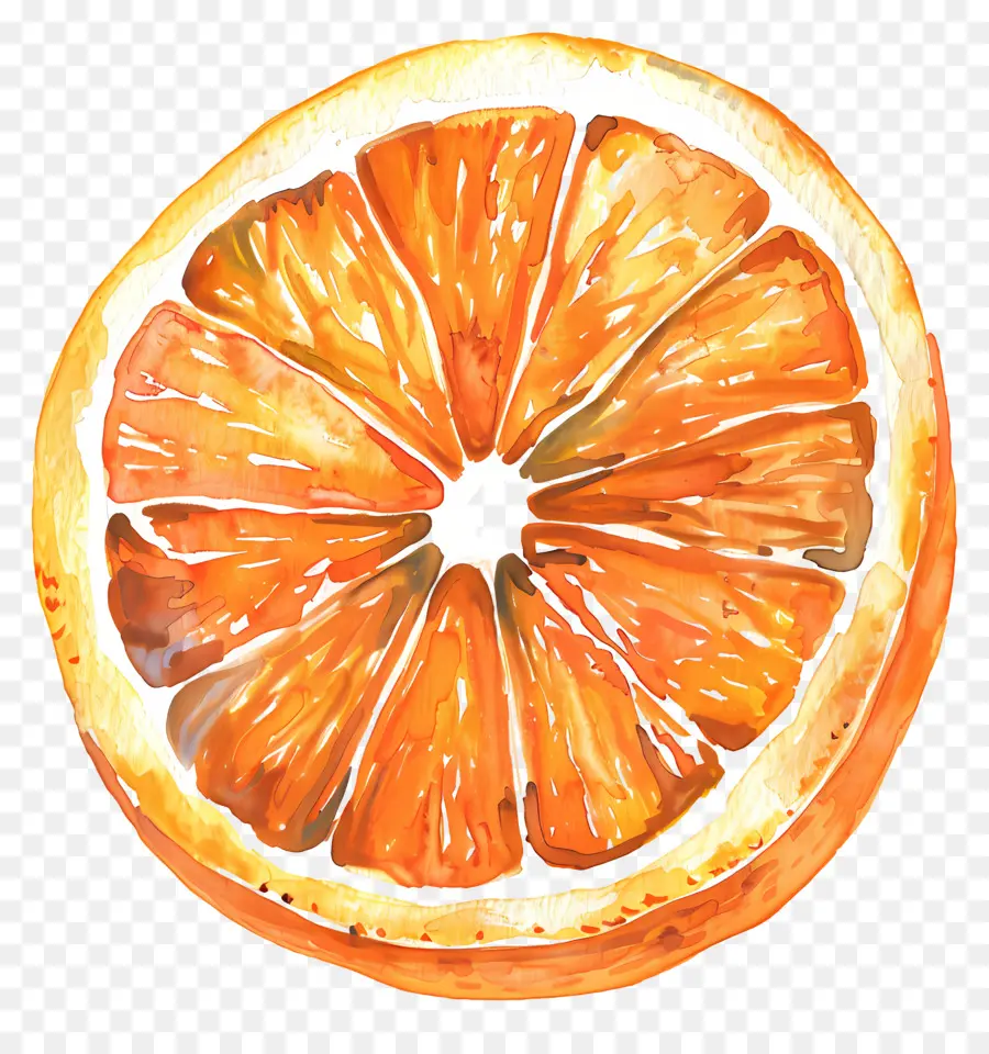 Fatia De Laranja，Pintura PNG