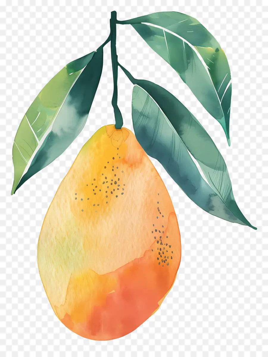 Mango，Frutas PNG