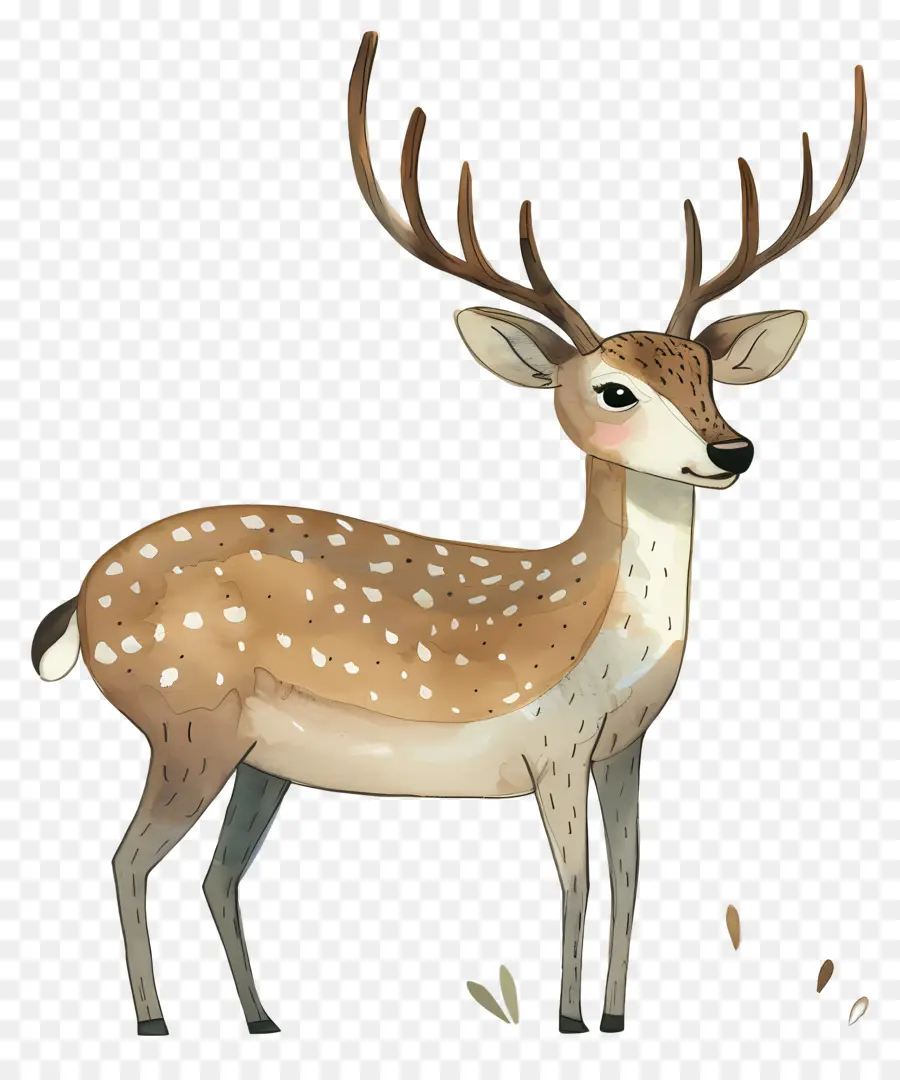 Cartoon Veado，Deer PNG