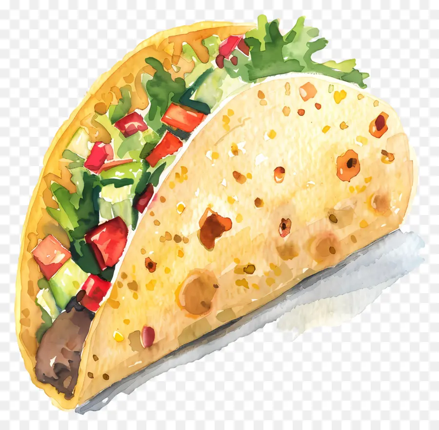 Taco，Aquarela PNG