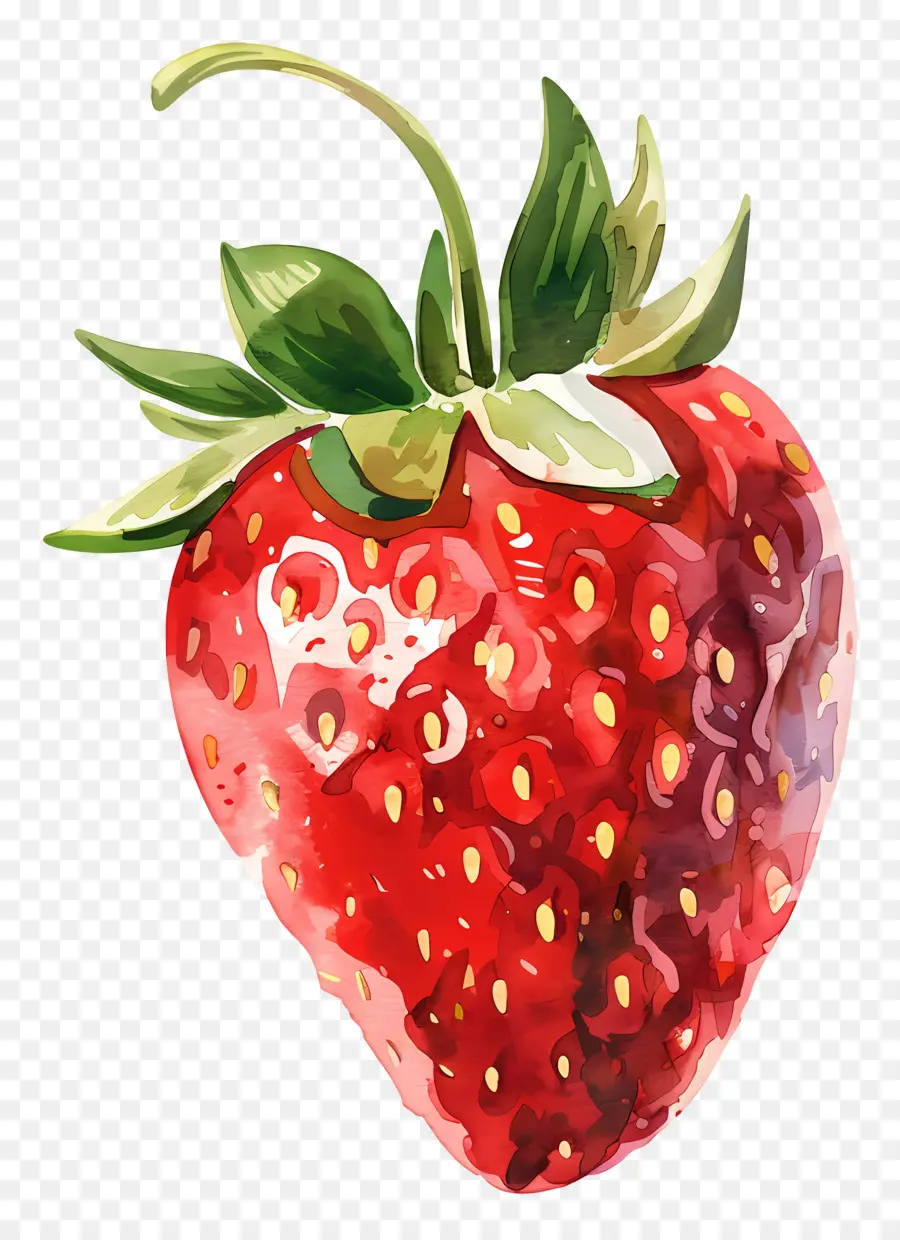 Morango，Pintura Em Aquarela PNG