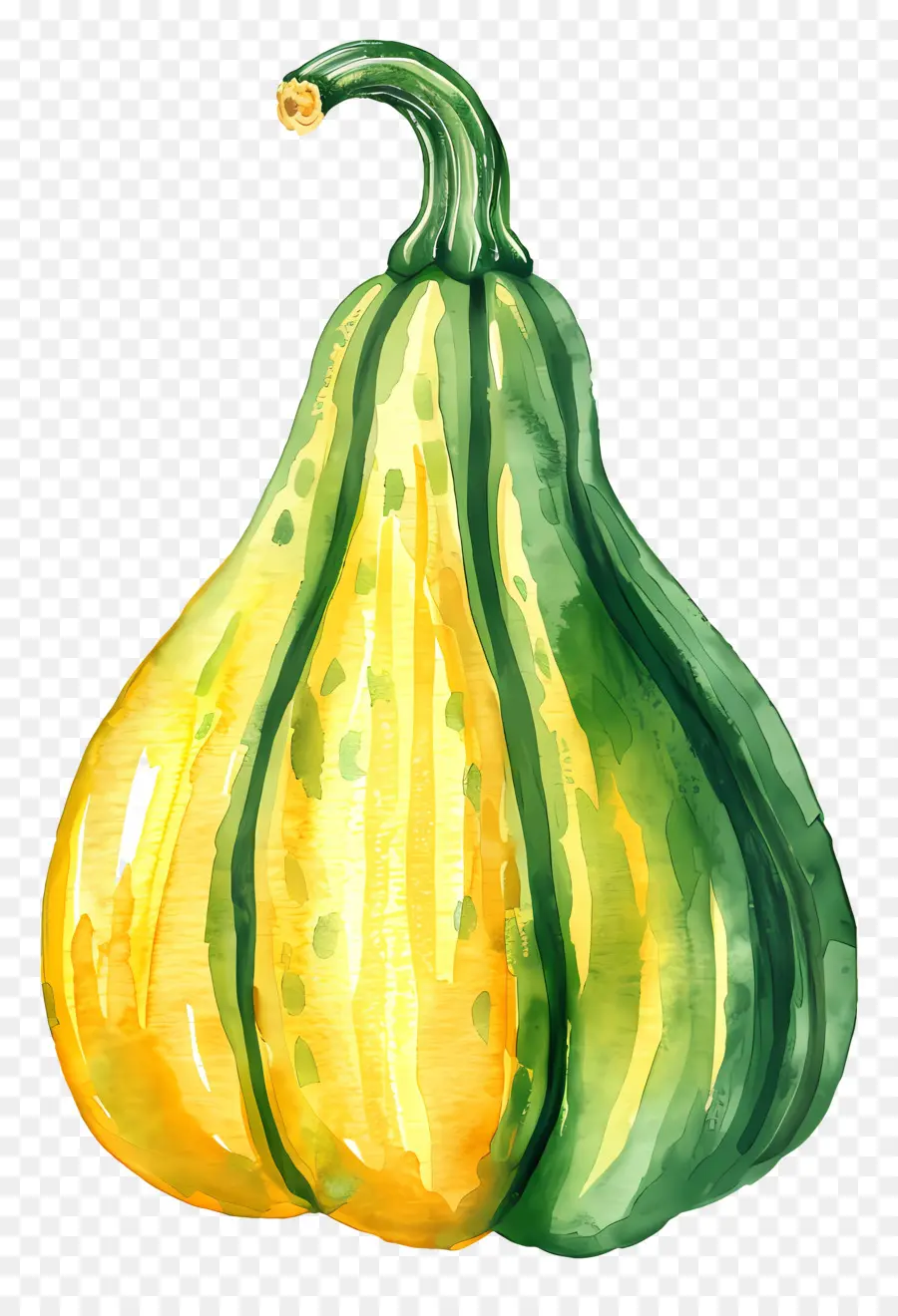 Squash，Pintura Em Aquarela PNG