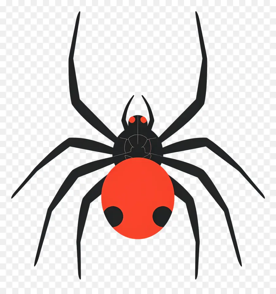 Halloween Aranha，Aranha Viúva Negra PNG