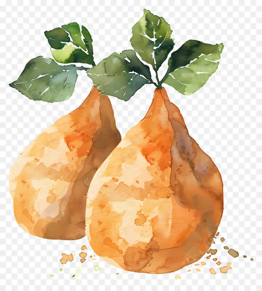 Yam，Pintura Em Aquarela PNG