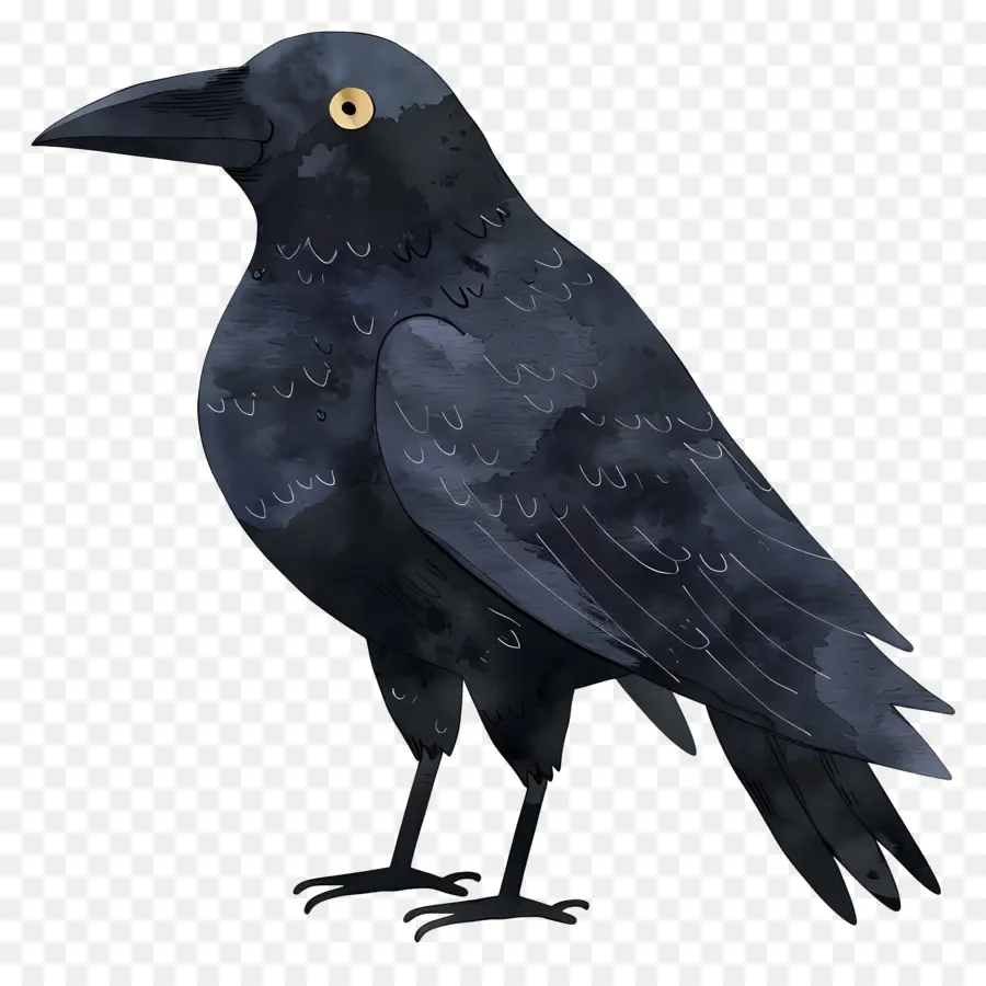 Cartoon Raven，Crow PNG