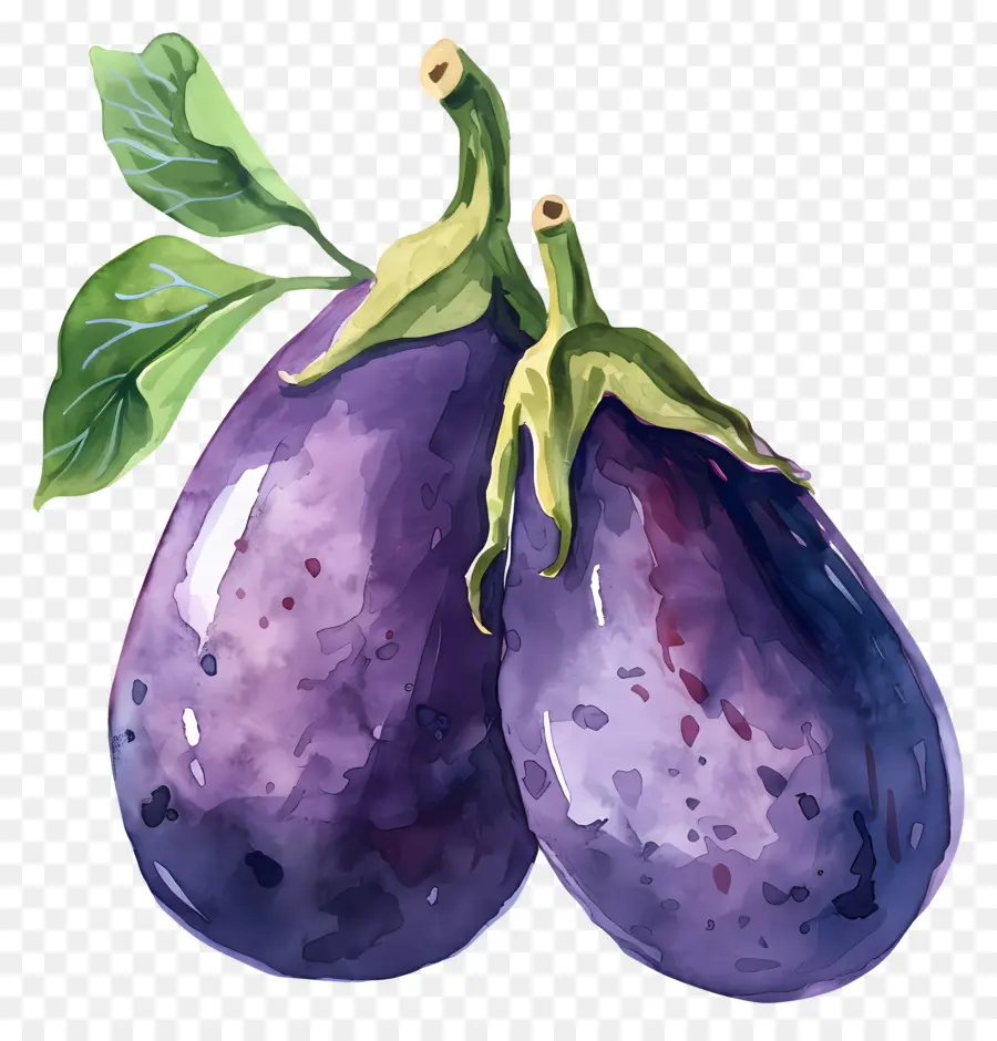 Berinjela，Roxo PNG