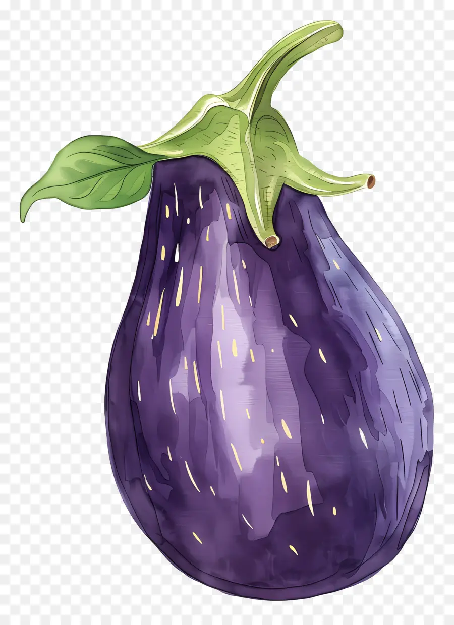 Beringela，Roxo PNG