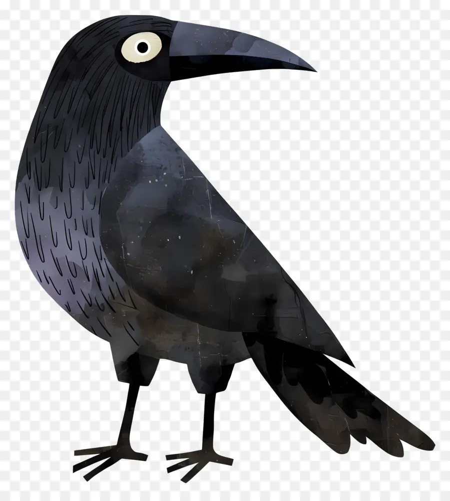 Corvo Dos Desenhos Animados，Corvo PNG