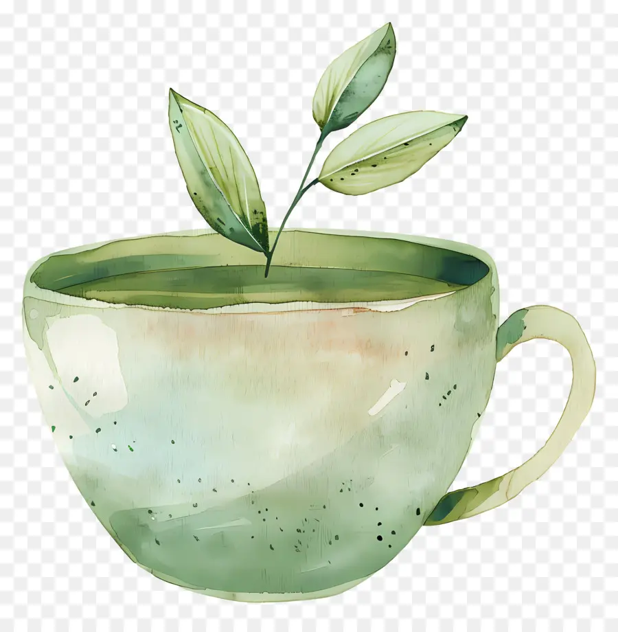 Xícara De Chá De，O Chá Verde PNG