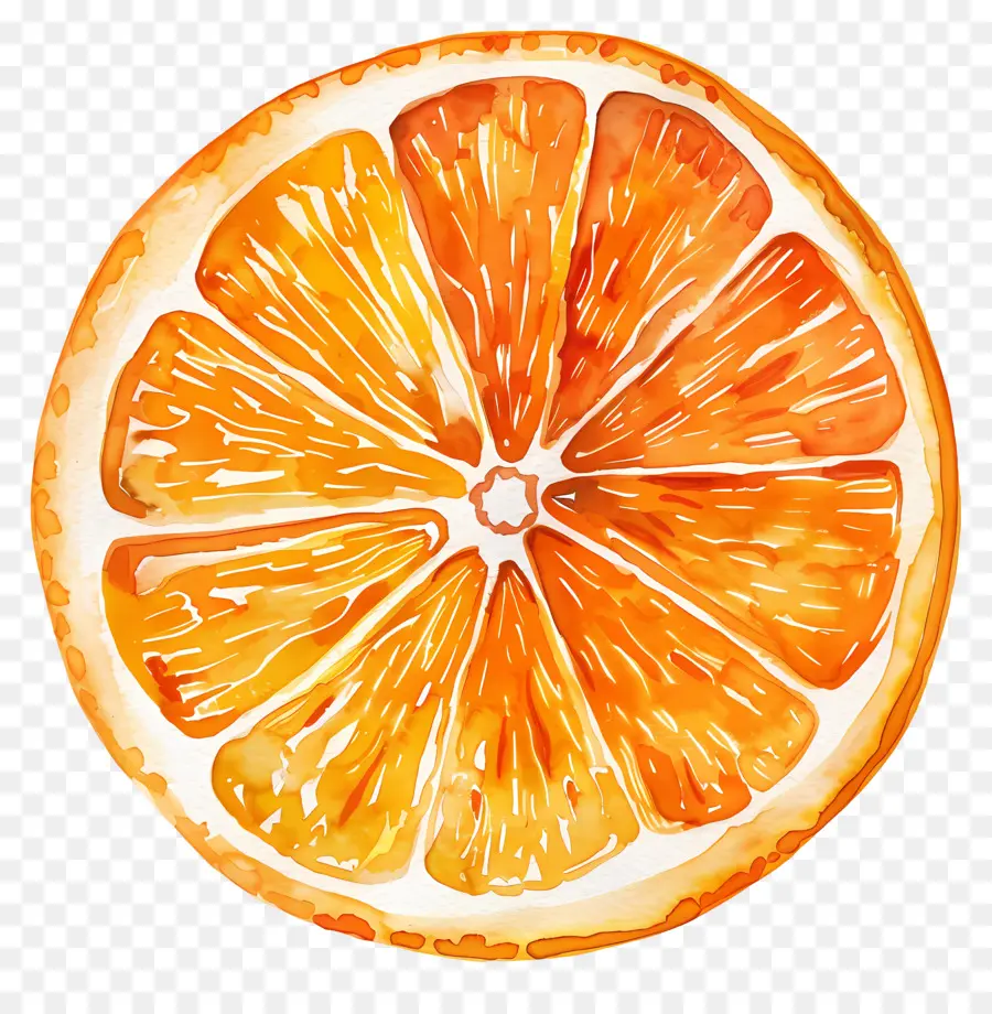 Fatia De Laranja，Fatia De Limão PNG