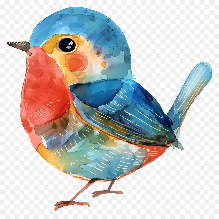 Aves，Pintura Em Aquarela PNG