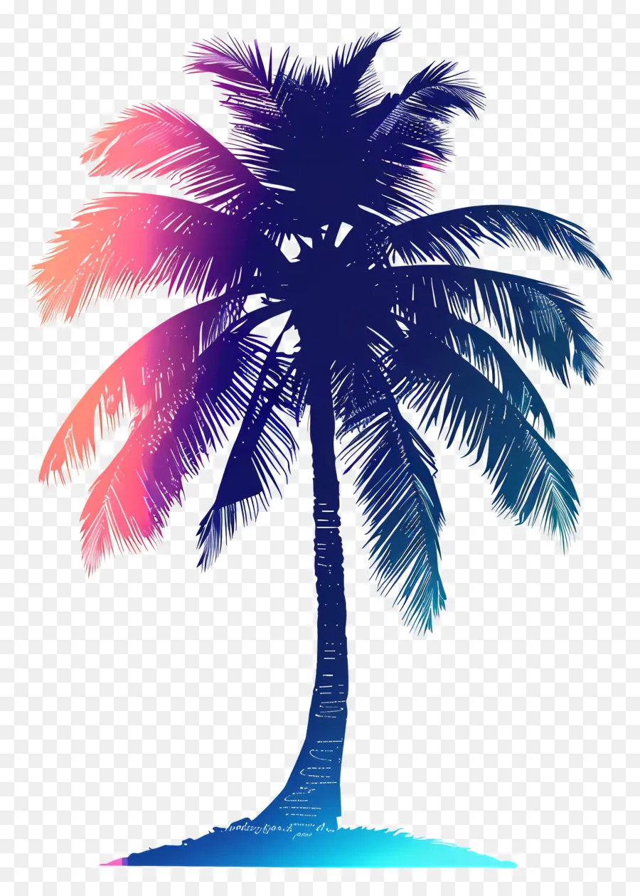 Palmeira Silhueta，Palmeira PNG