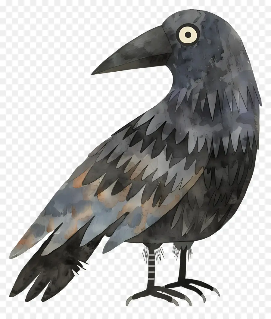 Corvo Dos Desenhos Animados，Corvo PNG