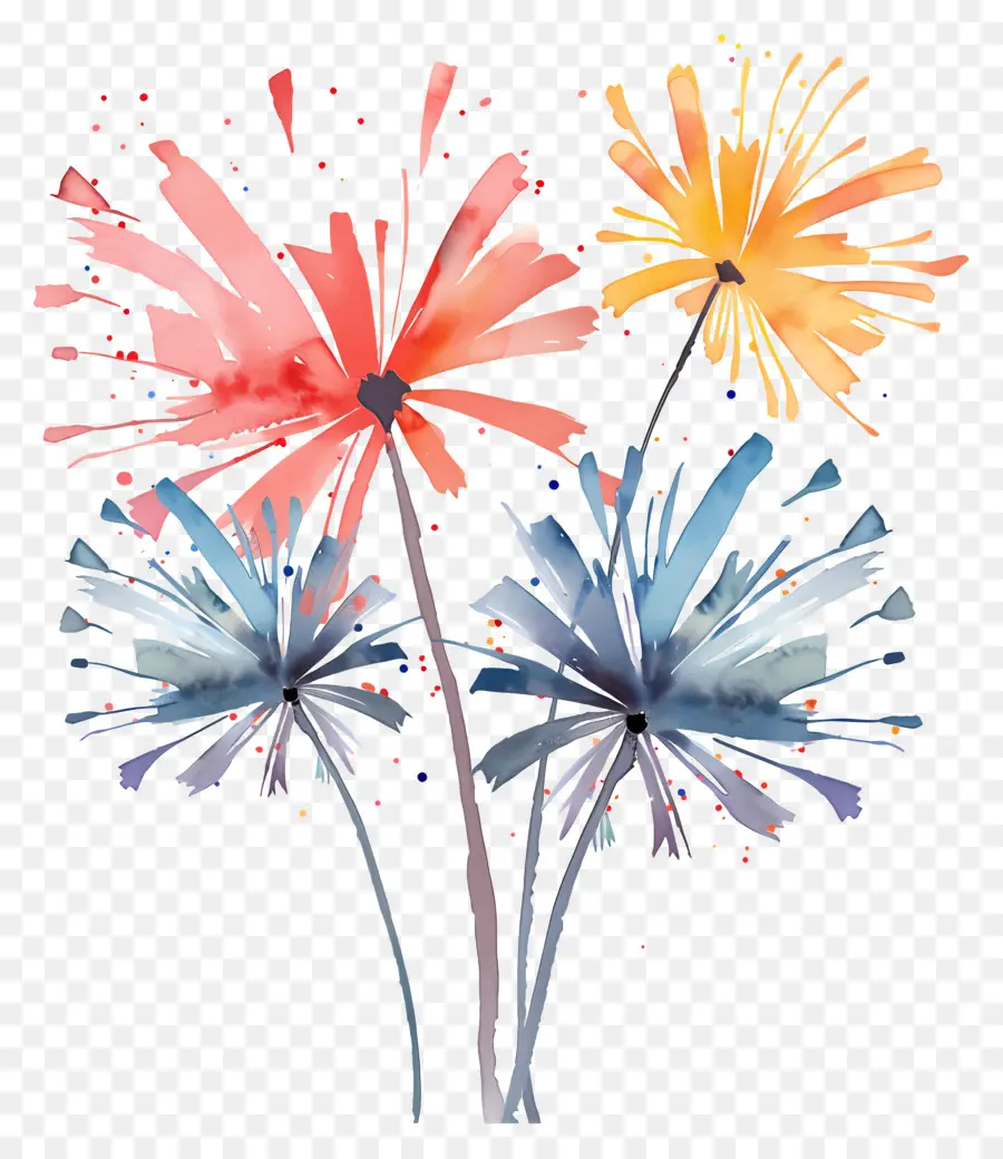 Fogos De Artifício，Aquarela Flores PNG