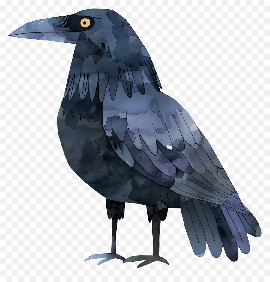 Cartoon Raven，Crow PNG
