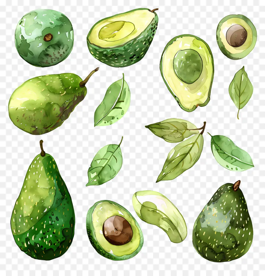 Abacate，Ripe PNG