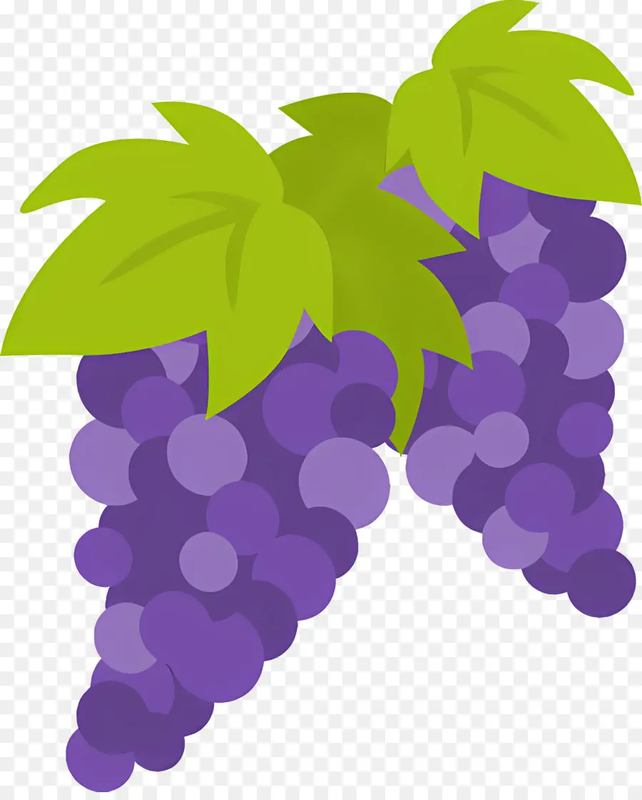 Fruta，Uvas PNG