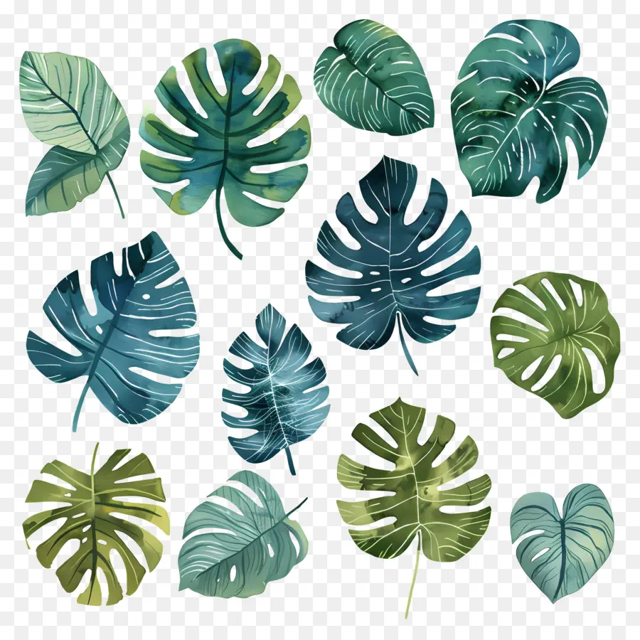 Monstera，Aquarela Arte PNG