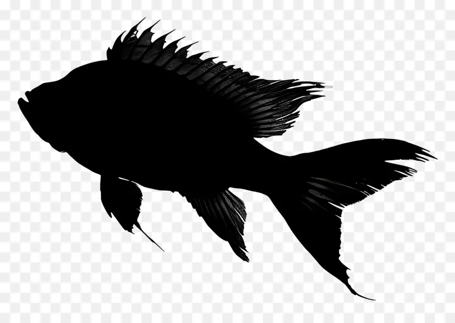 Peixes Silhueta，Preto E Branco Peixe PNG
